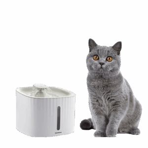 Fontaine pratique pour animaux (3 types d’écoulements: cascade, source, fontaine)
