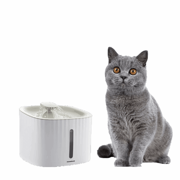 Fontaine pratique pour animaux (3 types d’écoulements: cascade, source, fontaine)