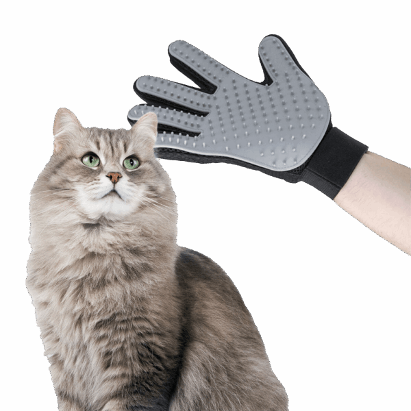 Gant de brossage et massage 2en1 pour chat et chien InnovaGoods