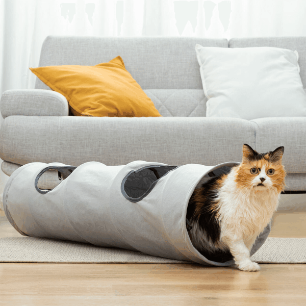 Tunnel de jeu pliable pour animaux InnovaGoods – Image 2