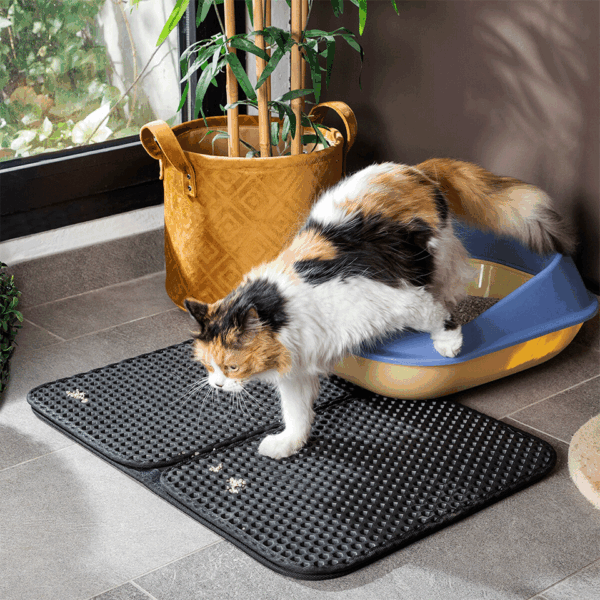 Tapis de litière pratique pour chat InnovaGoods