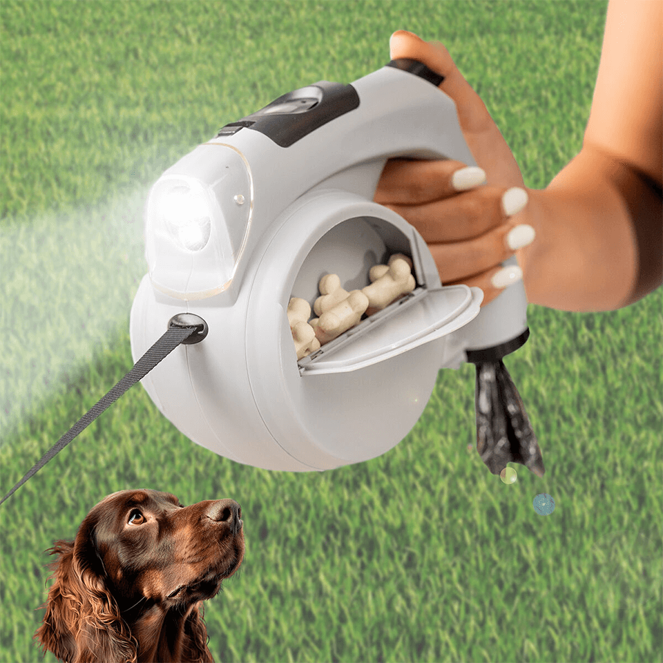 Laisse de chien rétractable 6en1 InnovaGoods