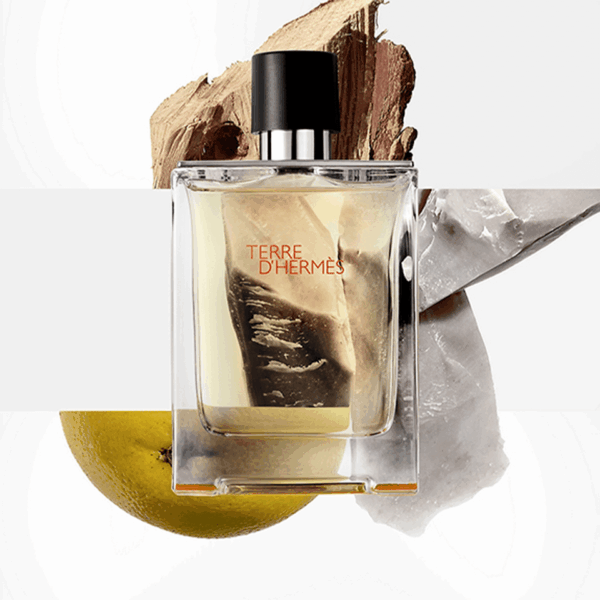 Hermes Terre d'Hermes 50ml – Image 3