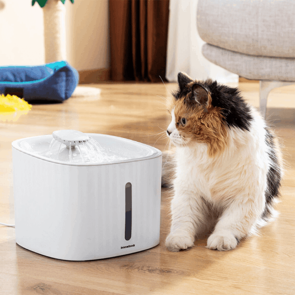 Fontaine pratique pour animaux (3 types d’écoulements: cascade, source, fontaine) – Image 3
