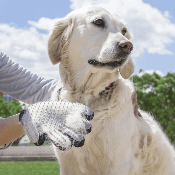 Gant de brossage et massage 2en1 pour chat et chien InnovaGoods – Image 3