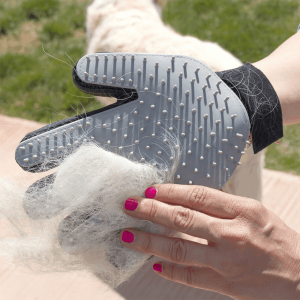 Gant de brossage et massage 2en1 pour chat et chien InnovaGoods – Image 4