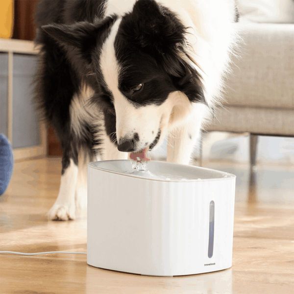 Fontaine pratique pour animaux (3 types d’écoulements: cascade, source, fontaine) – Image 5