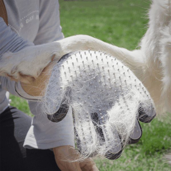 Gant de brossage et massage 2en1 pour chat et chien InnovaGoods – Image 5