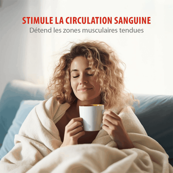 Couverture chauffante électrique XL (130x180cm) ALPINA – Image 2