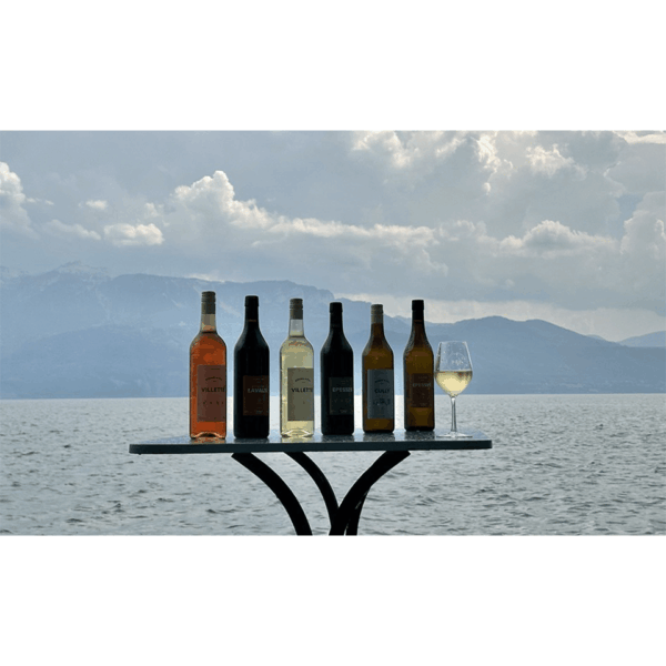 Carton découverte Cave PONNAZ et FILS de la région Lavaux (3 vins blanc, 2 vins rouge, 1 vin rosé) – Image 3