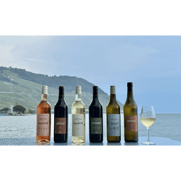 Carton découverte Cave PONNAZ et FILS de la région Lavaux (3 vins blanc, 2 vins rouge, 1 vin rosé) – Image 4
