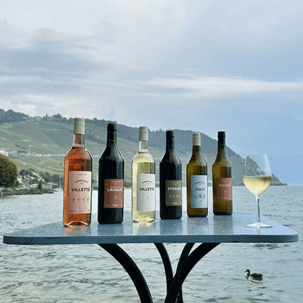 Carton découverte Cave PONNAZ et FILS de la région Lavaux (3 vins blanc, 2 vins rouge, 1 vin rosé) – Image 5