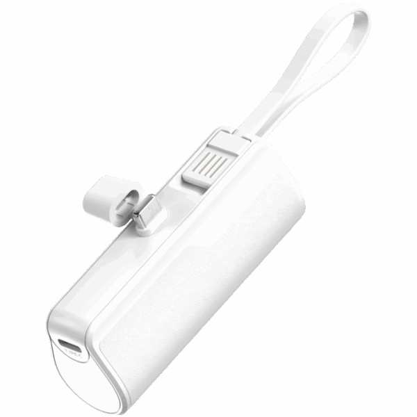 Batterie portable pratique (USB-C) 5’000 mAh Swiss ProLine – Image 2