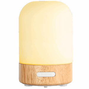 Humidificateur diffuseur d'arômes EASTWAY
