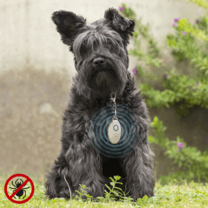 Répulsif à ultrasons rechargeables pour animaux InnovaGoods
