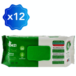 Set 12 packs de 100 lingettes nettoyantes CLEANIZI