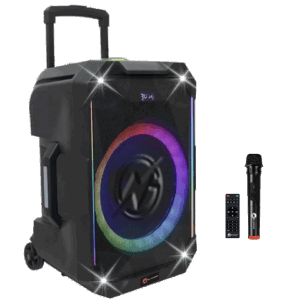 Haut-parleur LED Bluetooth portable sans fil N-GEAR (micro inclus)