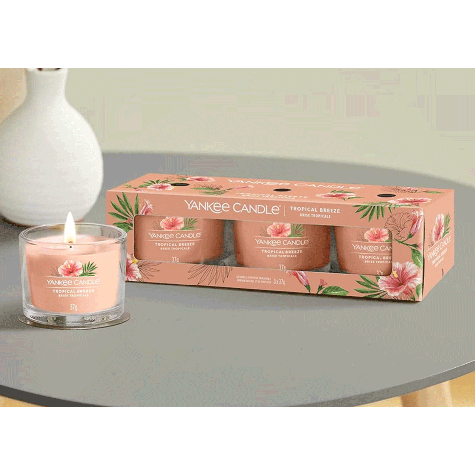 Set de 12 bougies Yankee Candle (Jasmin - Tropical - Ocean - Thé Noir) – Image 5